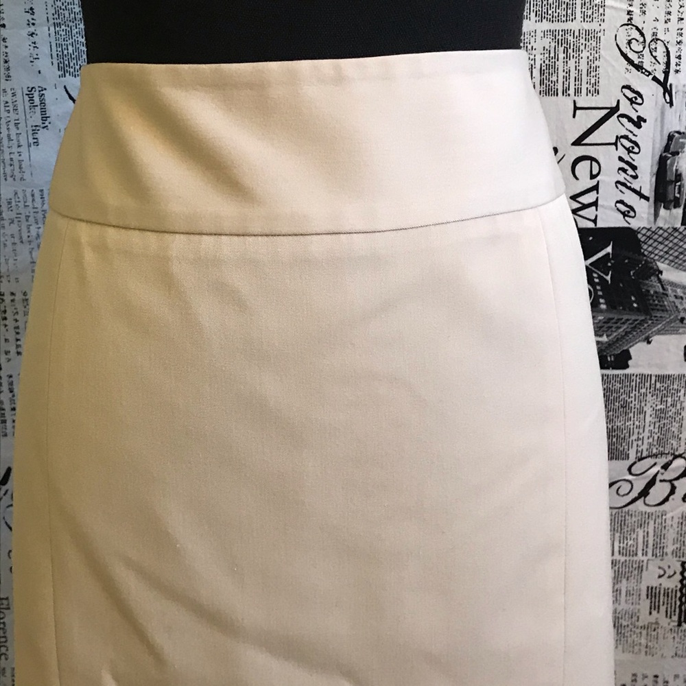 Anne Klein Skirt